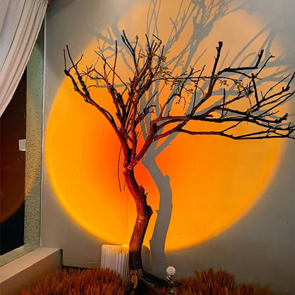 Aura Halo Wall Light